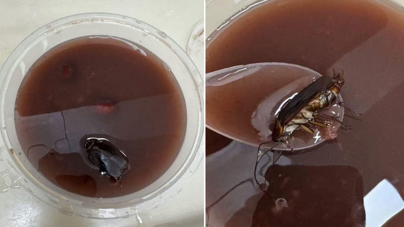Netizen Posts Photo Of Huge Cockroach That Looks Like ‘Red Date’ In Dessert Bought At Chinese Garden Eatery