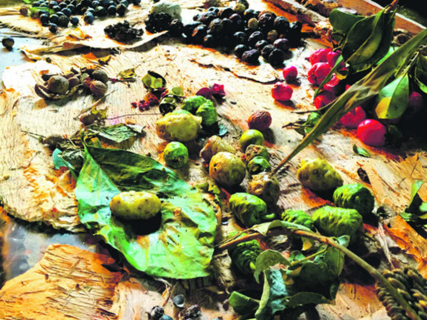 Cairns: More than just the Great Barrier Reef