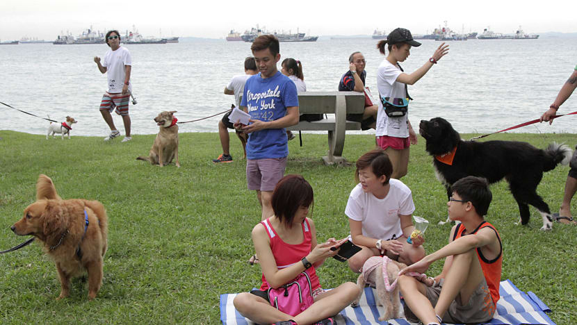 Vitamin D can help ward off dementia, says study on Asian population