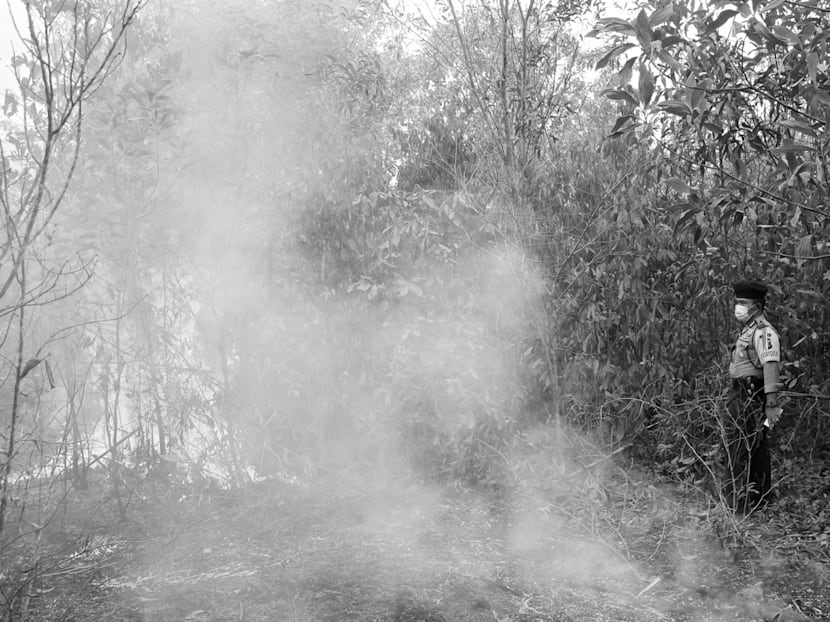 Seeing Indonesia through the haze