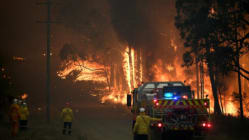 Related article image