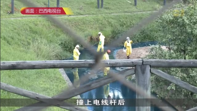 巴西多地河流与海域遭遇污染事件