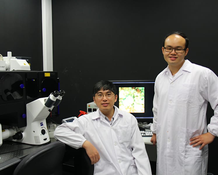 NTU scientists uncover way to make antibiotics more effective