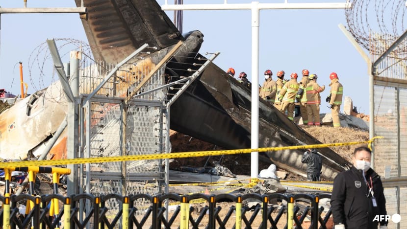 Duck DNA in both engines of Jeju Air plane that crashed, report says Duck DNA in both engines of Jeju Air plane that crashed, report says
