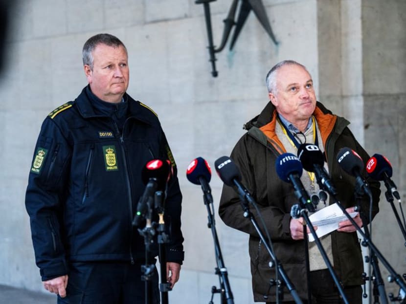 Seven arrested in Germany, Denmark, the Netherlands over suspected terrorism plots