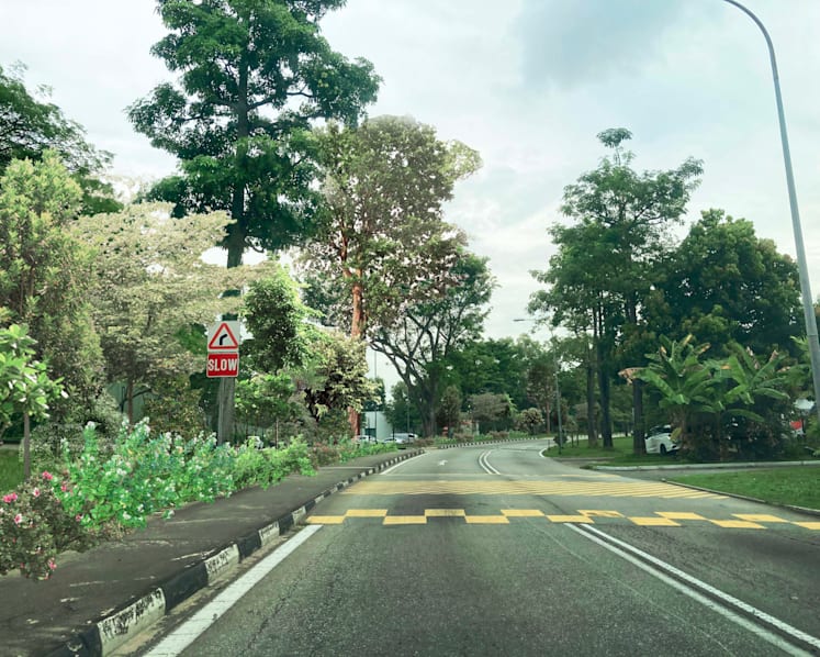 15km forest-like corridor to run through East Coast Park and Changi Beach Park: DPM Heng