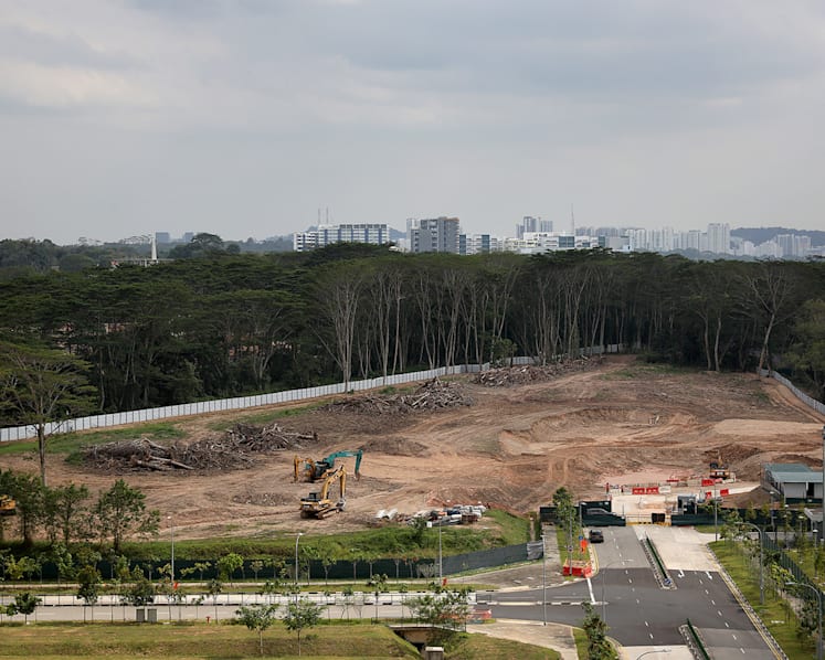 More supervision not always the best solution, says Chan Chun Sing on Kranji land clearance error