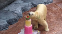 Related article image