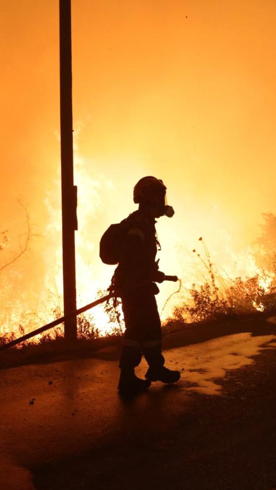Infernos devastate forests as Europe's temperatures rise again