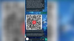 Related article image
