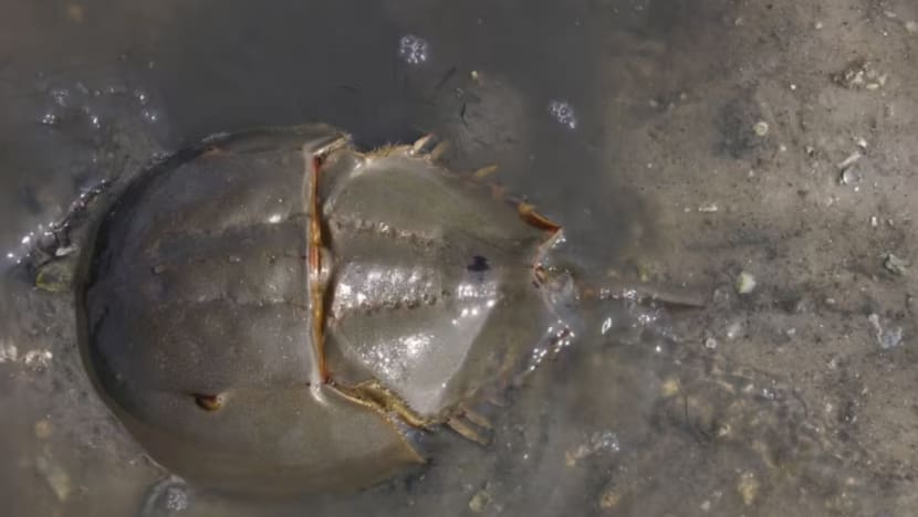 Related article image