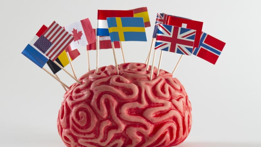 #KaburAjaDulu: Menaker Yassierli minta WNI tak kabur ke luar negeri, apa alasannya?