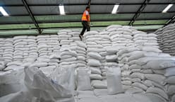 Indonesia touts 'victory' in achieving rice self-sufficiency