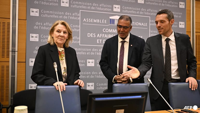 French lawmakers pass Bill simplifying return of colonial-era art