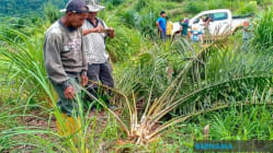 Related article image