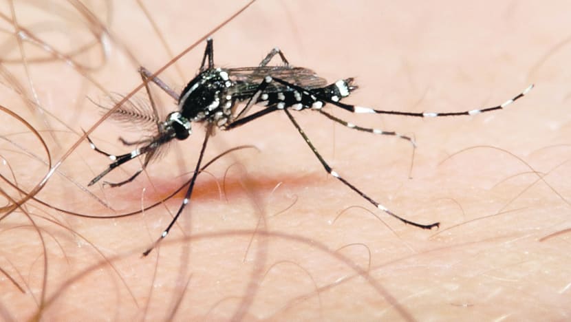 Duke-NUS researchers make dengue breakthrough