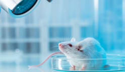 Britain umum pelan hapuskan ujian ke atas haiwan secara berperingkat