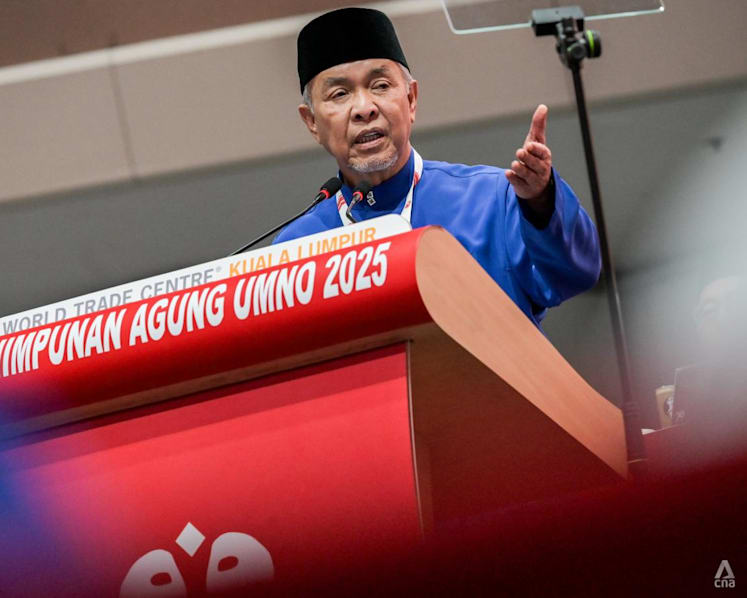 ‘For the sake of the Malays and Islam’: UMNO president pitches ‘grand collaboration’ of political parties