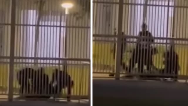 持刀出现在篮球场旁  18岁少年被捕