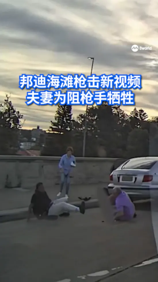 20251216 sydney hero