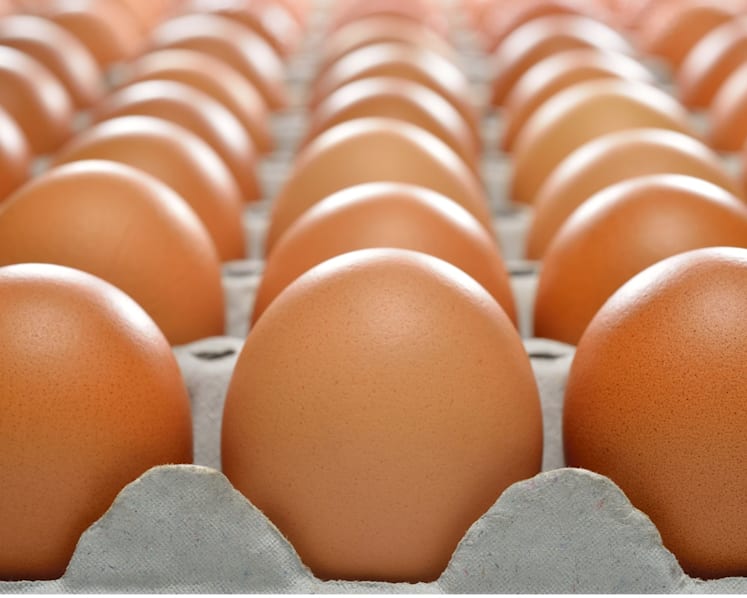 Singapore to start importing eggs from Indonesia 