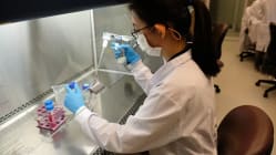 Related article image