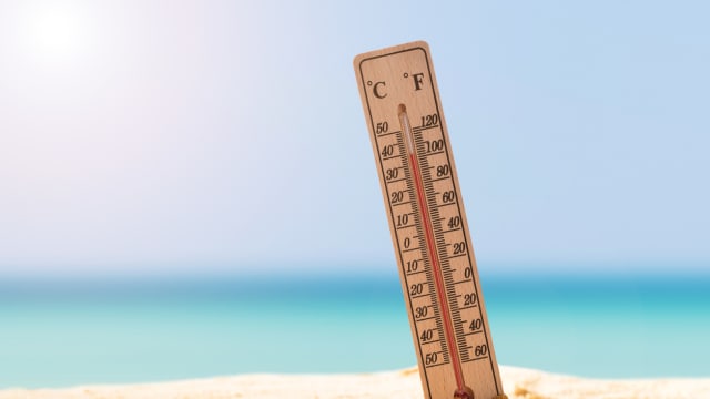 联合国警告：热浪和林火将致空气素质恶化