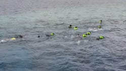 Related article image