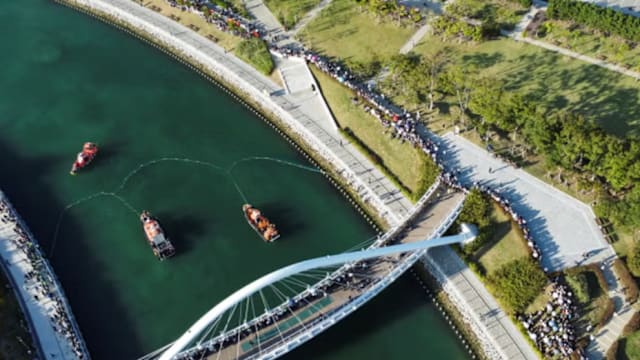 鲨鱼误闯韩国釜山水道 两度引导仍未返海