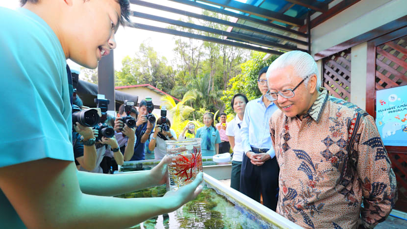 Sisters’ Island Park Public Gallery opens