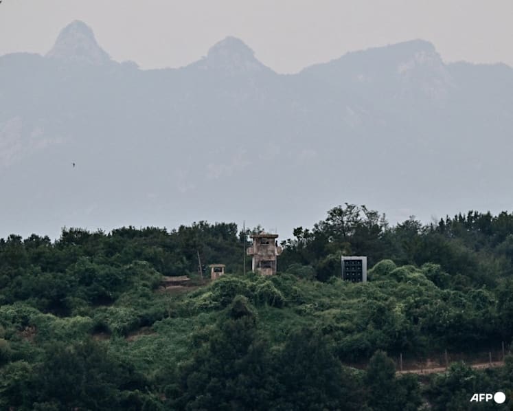 Seoul says North Korean mines 'highly suspected' as cause of DMZ blast