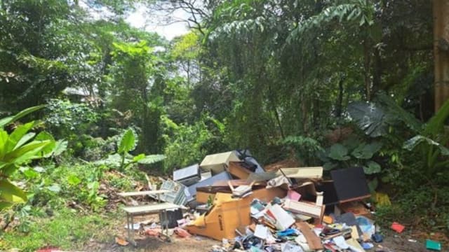 搬运公司主管非法丢弃家具 被罚款8000元