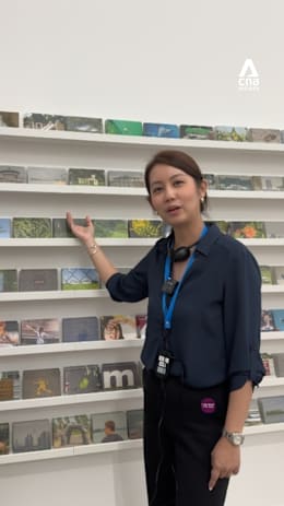 What I do for a living