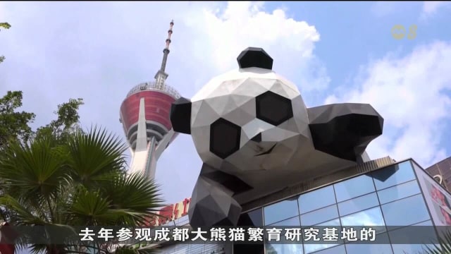 中国成都“熊猫经济”持续升温 旅游和文化产业迎发展新机遇