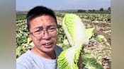 South Korea steps up checks as China probes formaldehyde-tainted cabbages