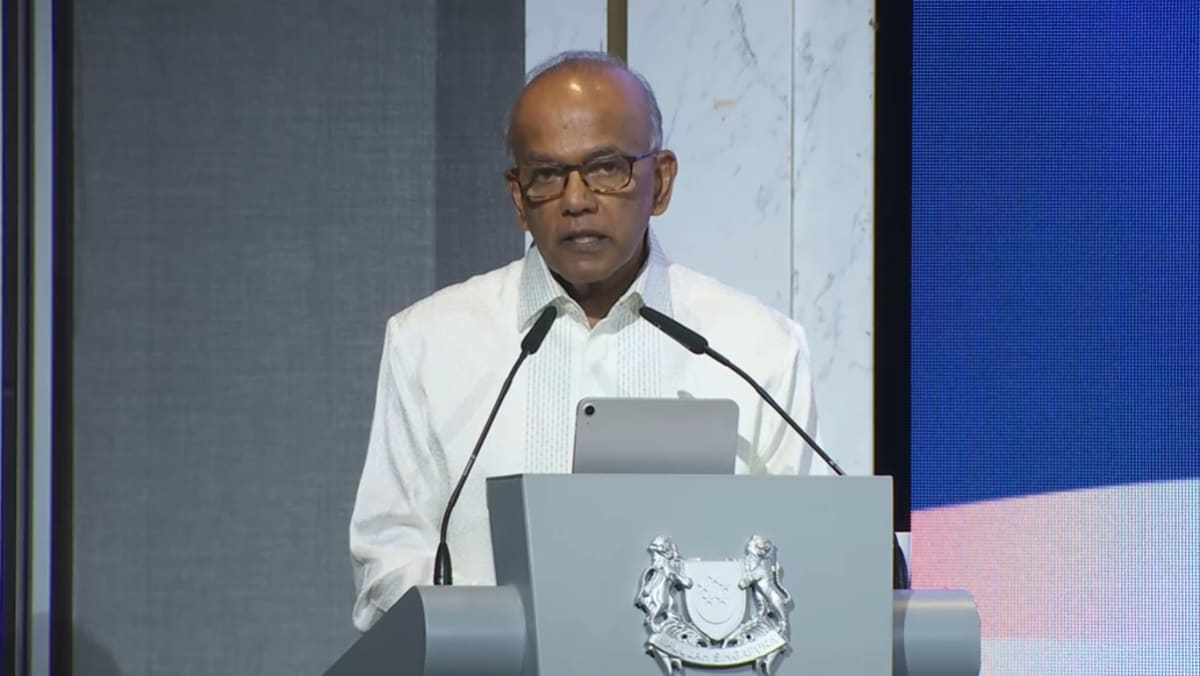 Singapore wary of treating navigational rights in global straits as paid privileges: Shanmugam
