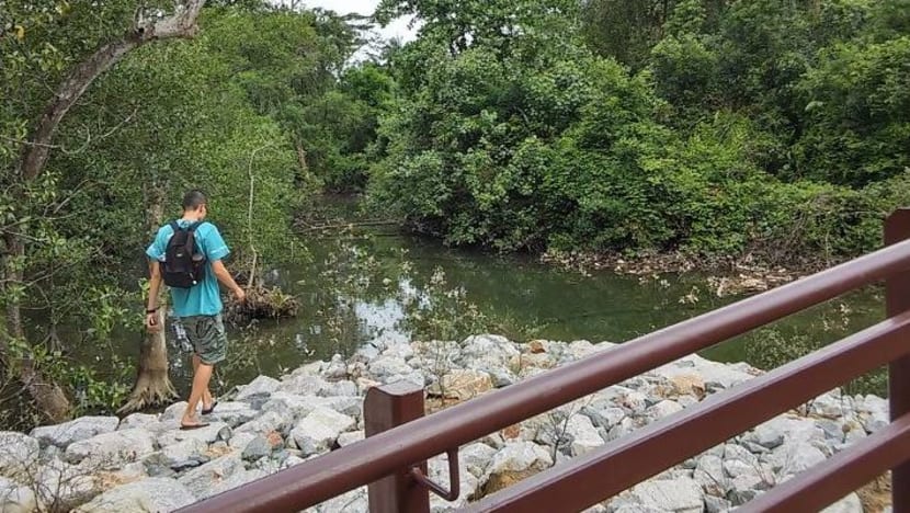 Green groups fight haze problem together for the first time