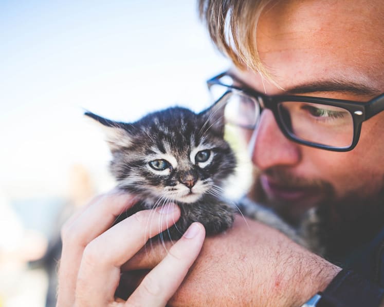 What happens when guys add their cats to their dating app profiles?