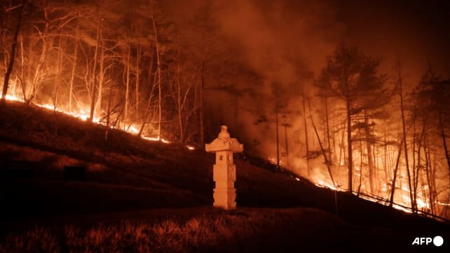 'Like the apocalypse': South Korea wildfires tear through mountains