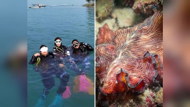 “西部岛屿”填海恐影响生态？ 国家发展部：将谨慎研究影响