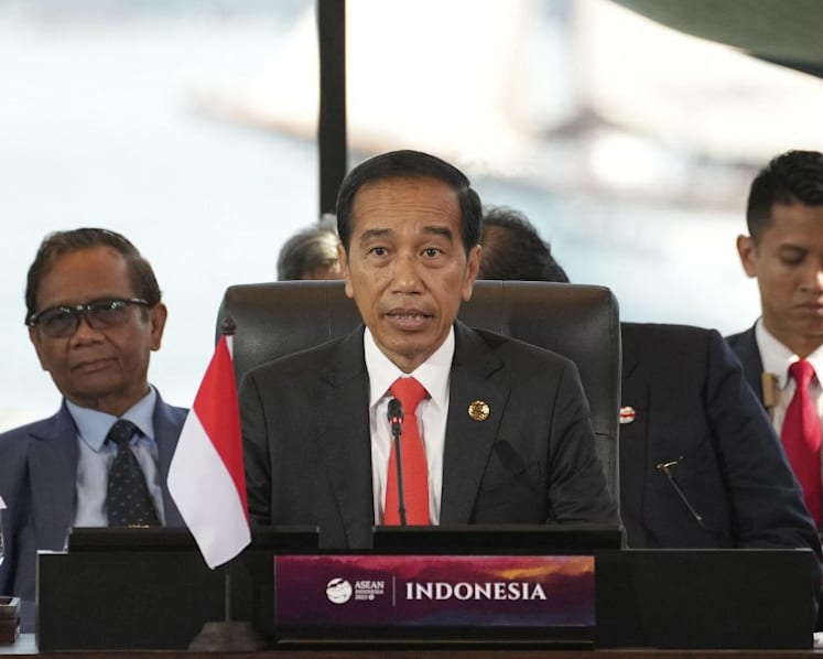 Indonesian President Joko Widodo to deliver address at Temasek sustainability event in Singapore