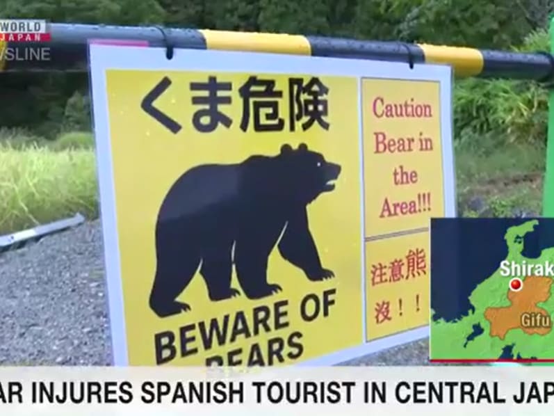 日本白川乡棕熊袭击旅客40岁西班牙人受伤送医- 8world
