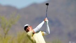 Related article image