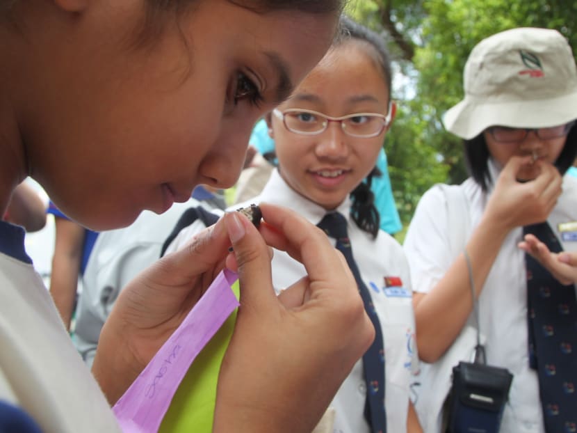 Nature tour at Istana open houses to start on Saturday