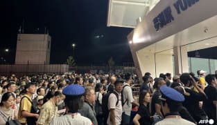 Japan Expo visitors stranded overnight by halted train