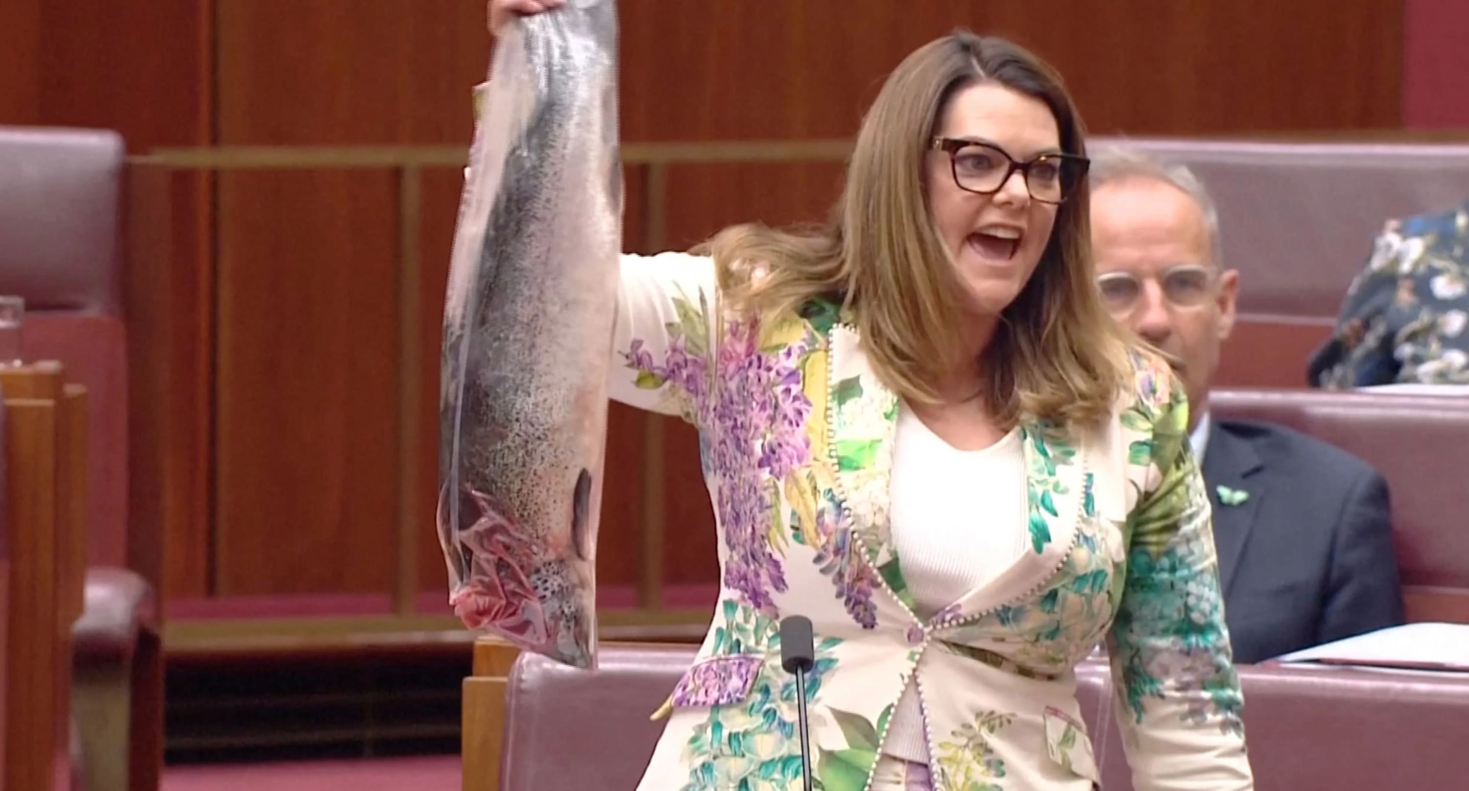 抗议削弱保护环境法案澳洲参议员议会开会中途拿出死鱼- 8world