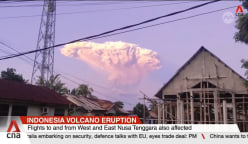 Dozens of Bali flights cancelled after Indonesia's Mount Lewotobi Laki-laki erupts
