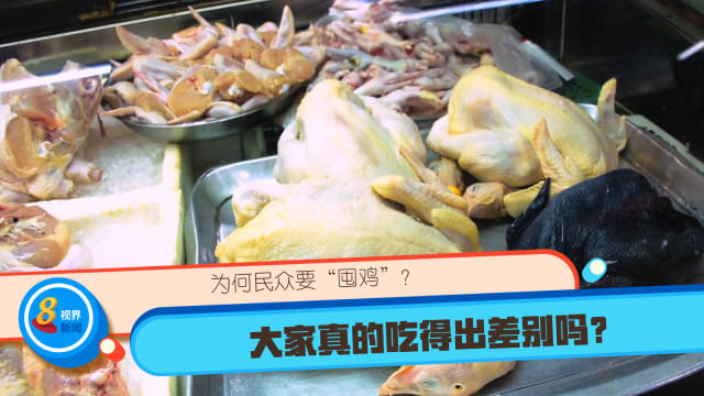 为何民众要“囤鸡”？大家真的吃得出差别吗？
