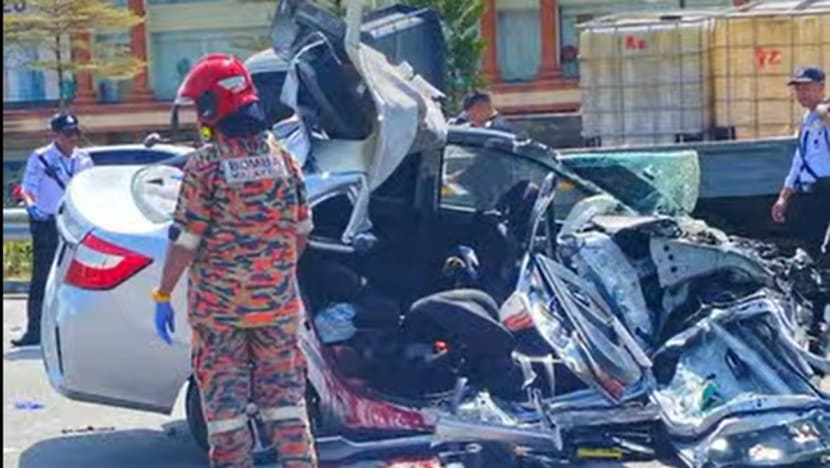 Ride-hailing driver, Singaporean passenger die in Johor car crash