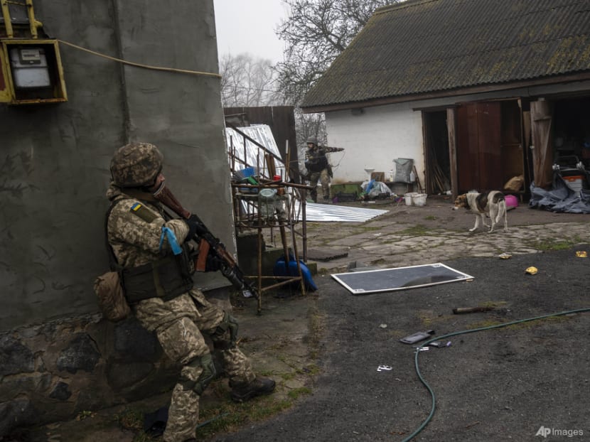 Russians create 'complete disaster' with mines: Ukrainian President Volodymyr Zelenskyy